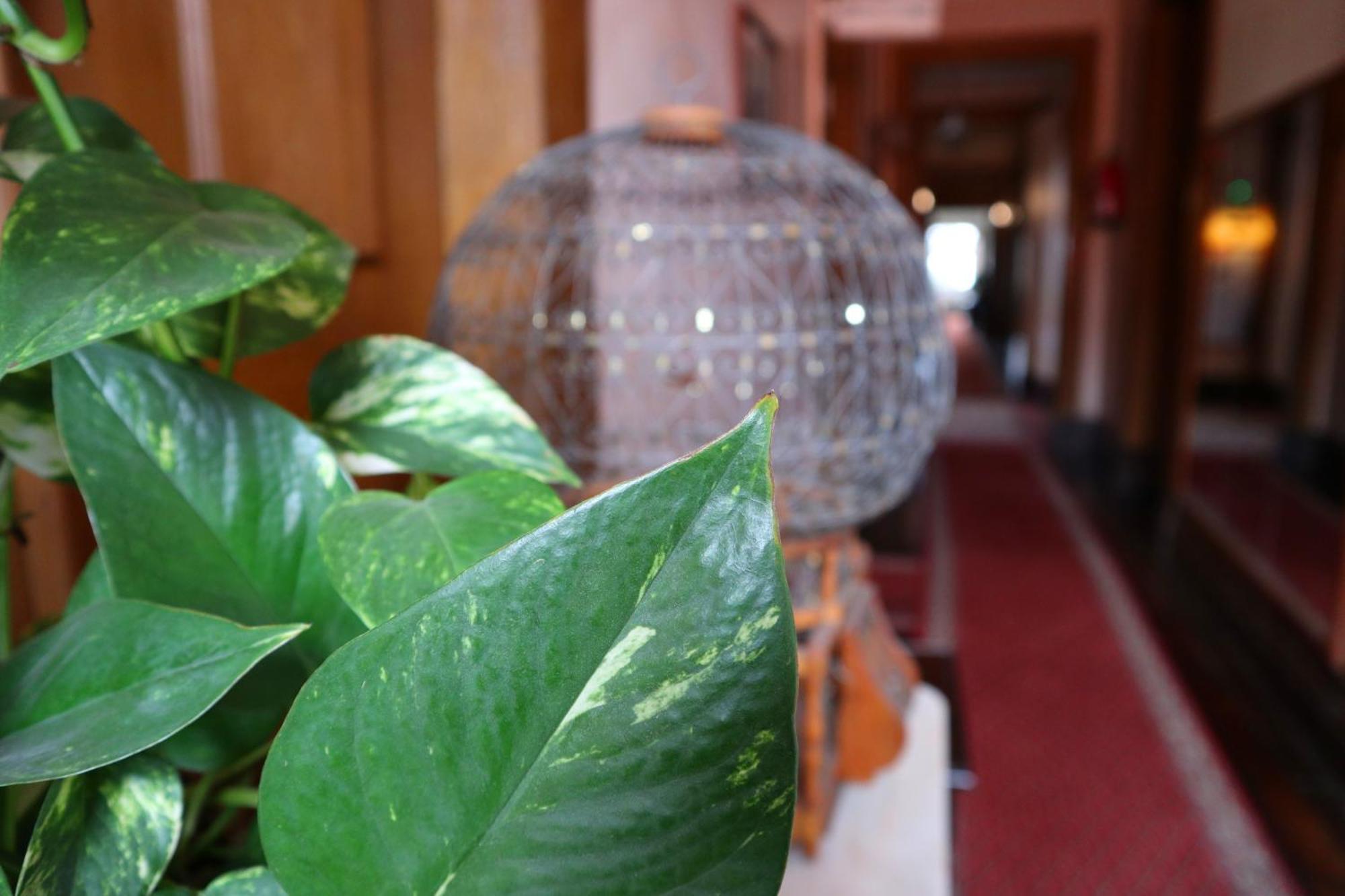 อเลเกร โฮเต็ล บุสซาโก Hotel ลูโซ ภายนอก รูปภาพ
